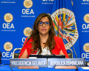 La Unidad de Análisis Financiero (UAF) representó al país en la 56ª Reunión del Grupo de Expertos para el Control del Lavado de Activos (GELAVEX).