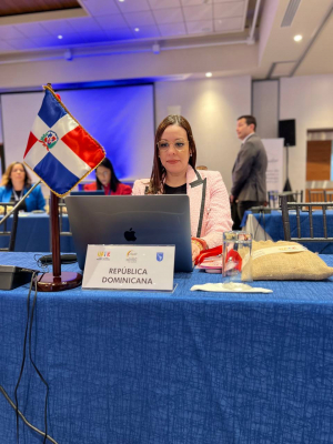 UAFRD participa en la XLV Reunión de los Grupos de Trabajo y del Pleno de Representantes del Grupo de Acción Financiera de Latinoamérica (GAFILAT).
